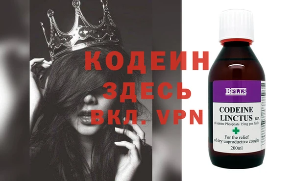 PSILOCYBIN Алзамай