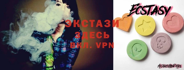 индика Дмитров