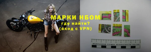 PSILOCYBIN Алзамай