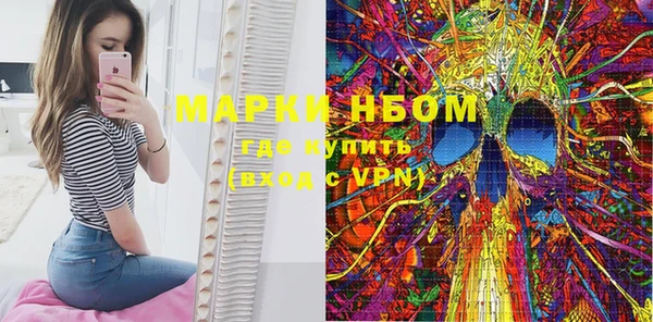 PSILOCYBIN Алзамай