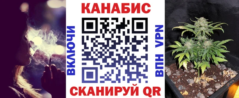 darknet клад  Шуя  Бошки Шишки сатива  купить  